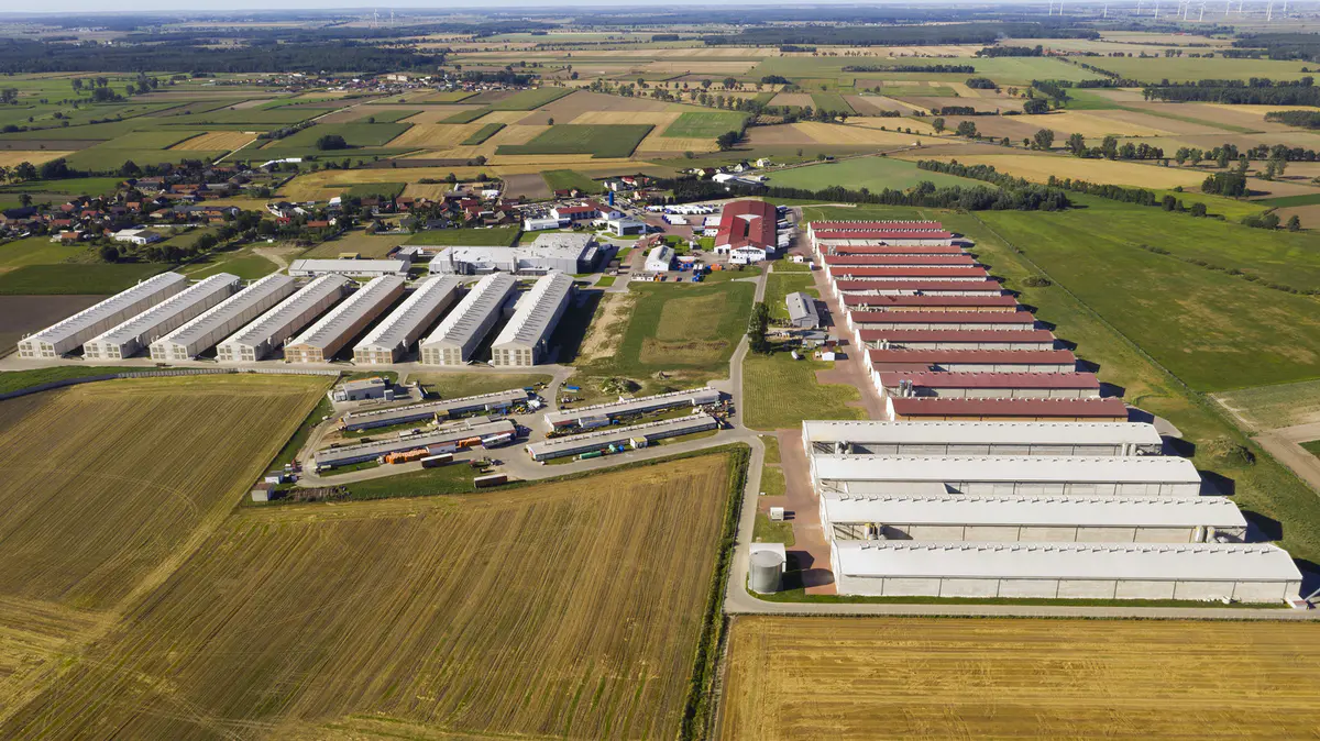 Zakład Fermy Drobiu Woźniak w Lasocicach – widok z lotu ptaka